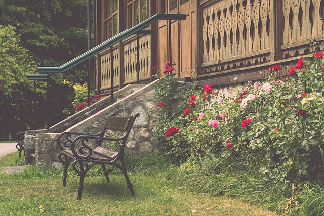 中国女排新帅竞聘！张章章、赵勇成热门候选人.