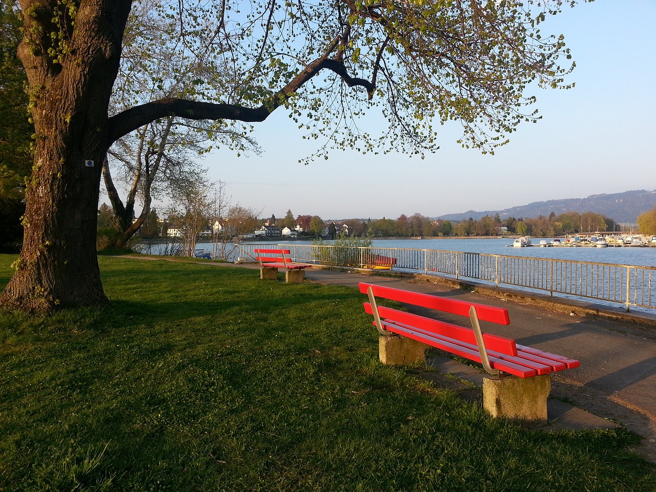 英超本賽季黃牌風暴：富勒姆11人！.