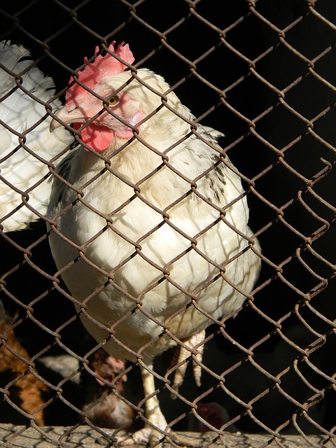 裏弗斯：米德爾頓終將重拾狀態他的表現值得信賴.