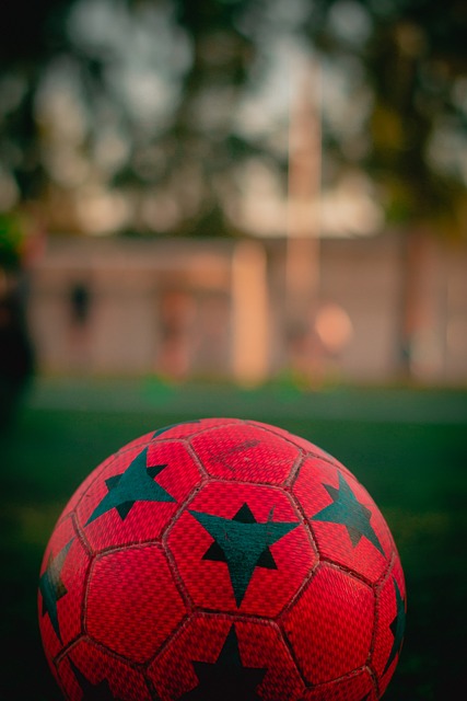 第十批国家组织药品集采将于12月12日开标.