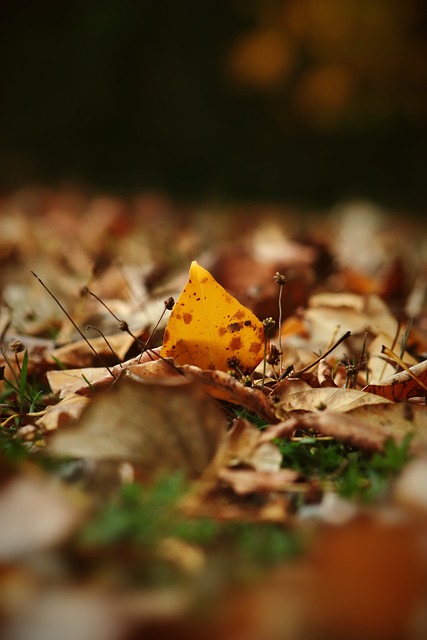 6-3！皇马双杀曼城！瓜迪奥拉执教生涯首次无缘欧冠16强.